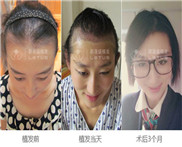 碧莲盛央视报道.jpg