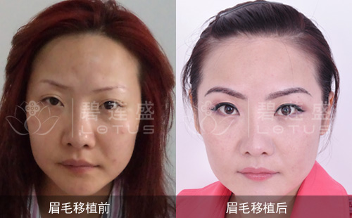眉毛1.jpg